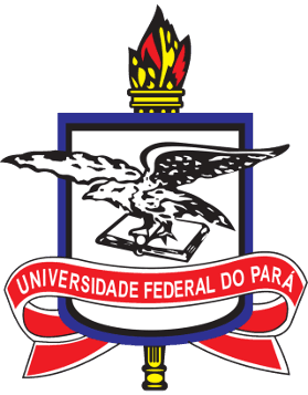 Universidade Federal do Pará (UFPA)